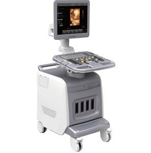 PT400 4D-Farbdoppler-Ultraschall-Diagnosesystem