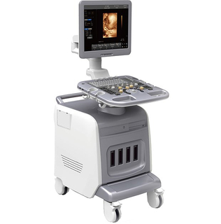 PT400 4D-Farbdoppler-Ultraschall-Diagnosesystem