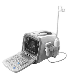 PT6601 Tragbarer Schwarz-Weiß-Ultraschallscanner