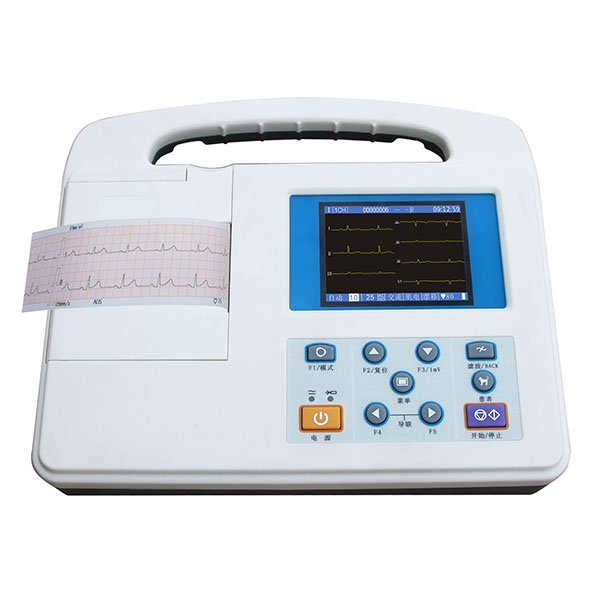 ECG-101G (Einzelkanal) und ECG-101GB (Einzelkanal)